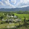 3000m Lạc Sơn,dốc nhẹ,mặt tiền dài,ô tô vào,view toàn bộ thung lũng,mát mẻ,hàng xóm xung