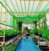 BÁN NHÀ NGUYỄN AN NINH, NGÕ THÔNG, 30M RA PHỐ, Ở LUÔN, DÂN XÂY, 60M2 X 5 TẦNG GIÁ 12.X TỶ