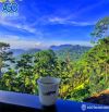 2.220 m2 ĐẤT ĐỈNH ĐÈO PRENN - GIÁP CAFE BÙI VĂN NGỌ - VIEW THÔNG BÁT NGÁT - CHUYỂN FULL XD