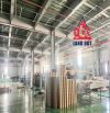 nhà xưởng sẵn cho thuê đầu tư sản xuất đa dạng ngành nghề. bàn giao liền