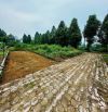 CÒN 01 LÔ DUY NHẤT TĐC ĐHQGHN, 76M2 GIÁ 3X TỶ