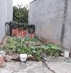 Dù rất lấy làm tiếc nhưng em buộc phải thông báo