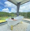 Bán căn homestay view rừng thông siêu đẹp🌲🌲- Hoàng Hoa Thám- P10 Đà Lạt