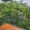 Tập thể Bách Khoa – căn góc 3 mặt thoáng, diện tích sử dụng lên tới 55m².