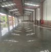CHO THUÊ KHO 1.000M² – ĐỐI DIỆN CHỢ ĐẦU MỐI, KCN THANH OAI , HÀ NỘI.