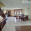 Bán nhà  Linh Lang, Ba Đình - Nhà phân lô - ngõ ô tô đỗ cửa - 46m x 5T, 17.8 tỷ