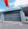 Bán nhà Cấp 4 Kp11A P. Tân Phong, Sát Khu Dân Cư Quân Đoàn 4, cách Nguyễn Văn Tiên 50M