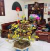 CẦN BÁN NHÀ HẺM 233 XÔ VIẾT NGHỆ TĨNH