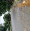 LÔ ĐẤT SIÊU ĐẸP - ĐẦU TƯ GIỮ TIỀN - XÂY CĂN HỘ - BIỆT THỰ NGHỈ DƯỠNG