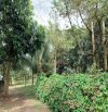 Bán khoảng hơn 2 mẫu 5 (25.492m2) đất Láng Lớn, huyện Châu Đức, BRVT.