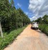 ✨ Vườn Bơ đang thu hoạch, 590M2 (12M x 50M) 200M2 ONT, đường BÊ TÔNG 5M sạch đẹp - 1,37 TỶ