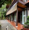 DT 6500m2 Nhà Vườn Nghĩ Dưỡng Thuộc Xã Long Phước Bà Rịa