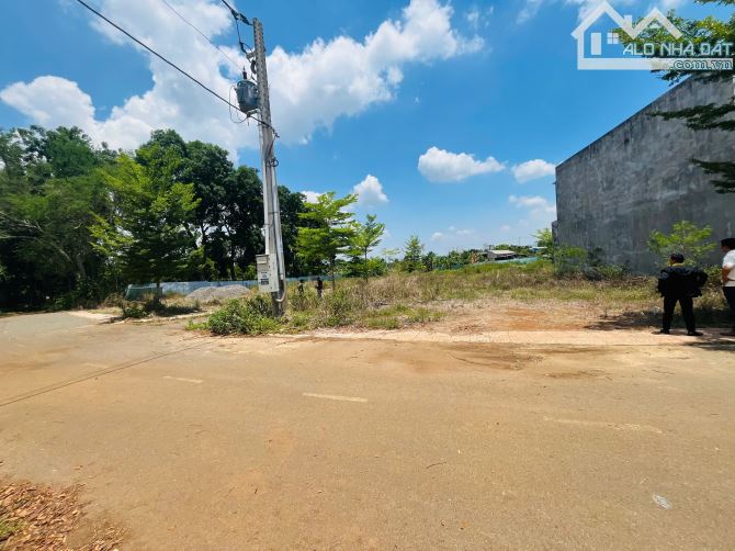 🔥 BÁN SỈ 13 LÔ ĐẤT ĐẸP – CHỈ 1 TỶ/LÔ – CƠ HỘI CHO NHÀ ĐẦU TƯ THÔNG THÁI