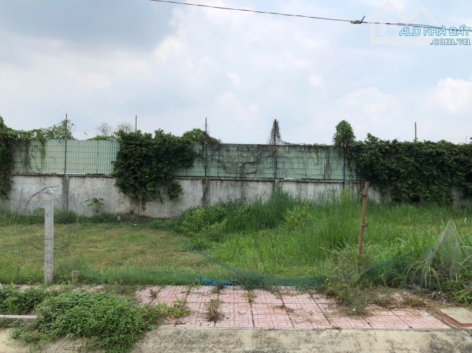 Cần bán lô đất 90m2 đường Hồ Văn Tắng xã Tân Phú Trung, Củ Chi giá 1,6 tỷ