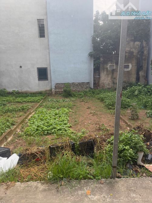 CẦN BÁN LÔ ĐẤT TỔ 16 - PHƯỜNG YÊN NGHĨA - HÀ ĐÔNG  • Diện tích: 48,8m²  • Mặt tiền: 4,07m,