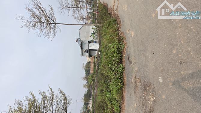 B.Á.N ĐẤT ĐẤU GIÁ CÂY SUNG  ĐAN PHƯỢNG , LÔ GÓC, PHÂN LÔ, Ô TÔ TRÁNH  79M2, 12 TỶ