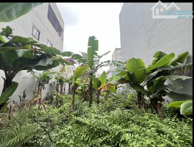 136 M2/ 10.9 Tỷ / 7.5 M tiền/ phúc Lợi