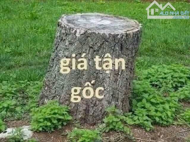 Ngay KDC Nam Long - Trần Trọng Cung, Quận 7, 80m2, 7 tỷ , ô tô vào nhà