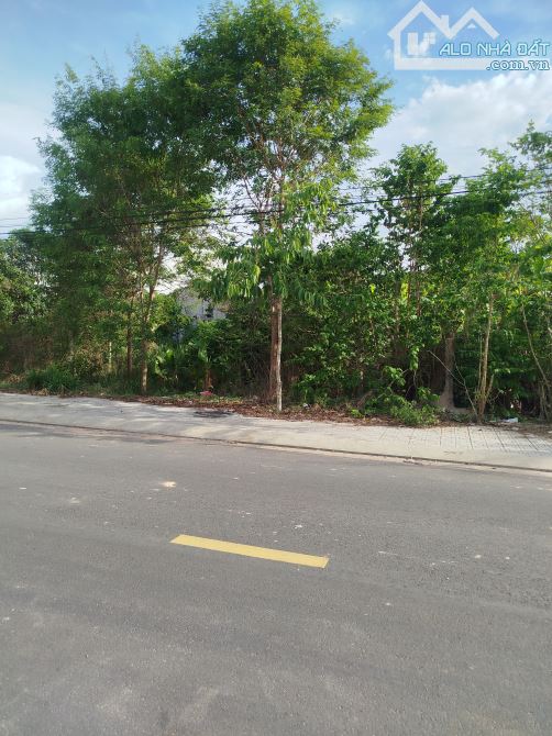 Bán đất mặt tiền đường Lý Tự Trọng - Huỳnh Tấn Phát Khu phố 7 thị Trấn Tân Biên