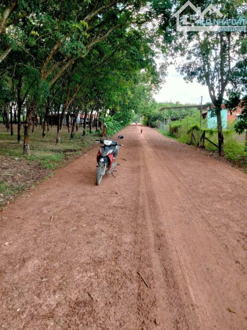 Cần bán gấp 2100m2 đất trồng mít, có sẵn 100m2 thổ cư, đường xe hơi, giá 1.4 tỷ
