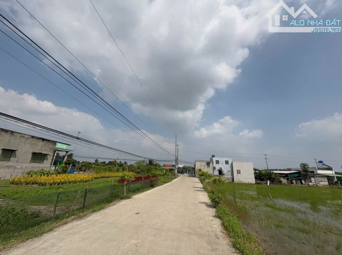 12,522m2 vườn có 1467m2 thổ giá 8,4 tỷ Đường ôtô An Nhựt tân_tân trụ giá ngộp vườn cây trá - 10