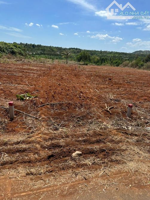 BÁN 169M2 ĐẤT LÂM SAN CẨM MỸ, GIÁ CHỈ 530TR CÓ 100M2 TC - 1