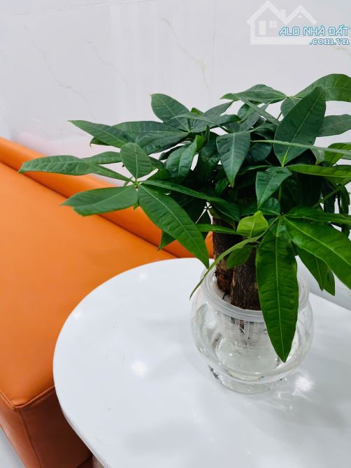 NHÀ XINH GIÁ TỐT –Điện Biên Phủ- TRUNG TÂM Q10 – CHỈ 2 TỶ 250 - 1