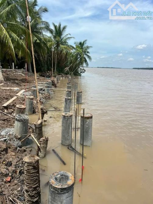 Bán 2000m2 đất 2 mặt tiền sông hàm luôn và đường đê quốc phòng - 1