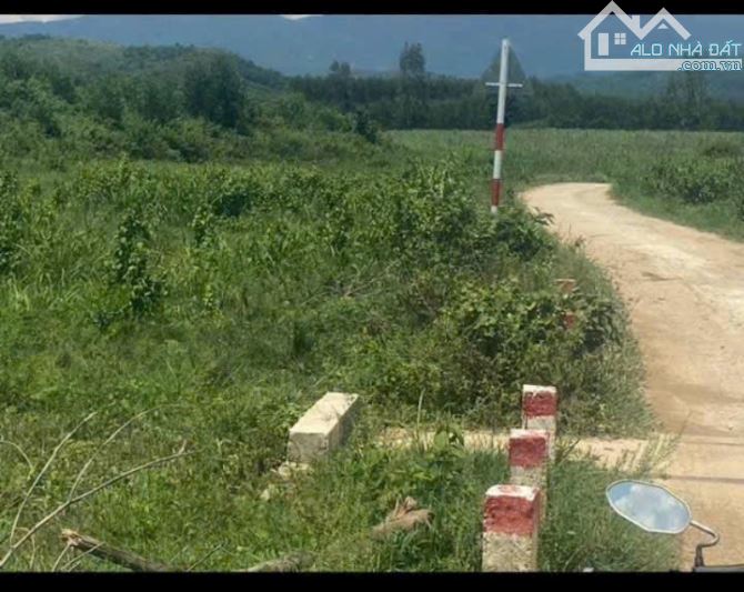 Bán 6200m2 - 1 tỷ 6 - đất Thôn 2 - Diên Đồng - Diên khánh - 1