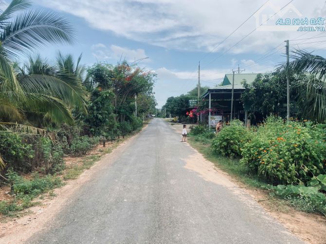 20x80 (1600m2) 100m2 Tc Đinh Công Tráng LaGi Giá Cực Rẻ - 1