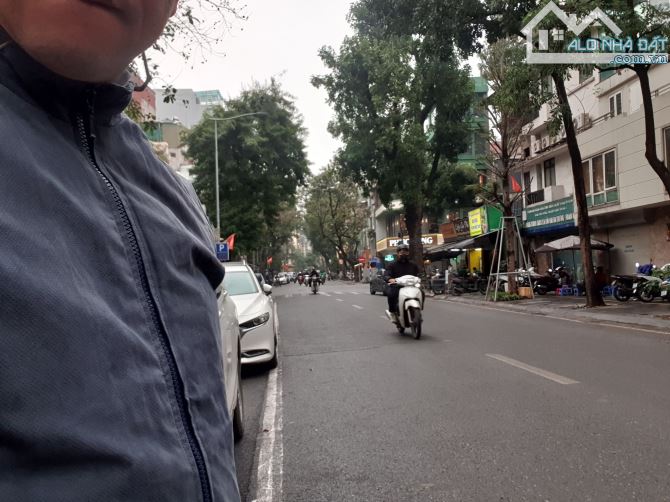 Mặt phố Ngô Thì Nhậm 157 tỷ, 208m2, mặt tiên 7m, biệt thự 3 tầng. - 1