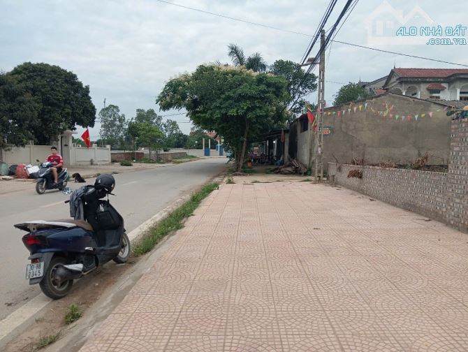 Bán gấp lô đất 1320m² đường 14 - Minh Phú - Sóc Sơn; chỉ 25tr/m², có ra lộc - 1
