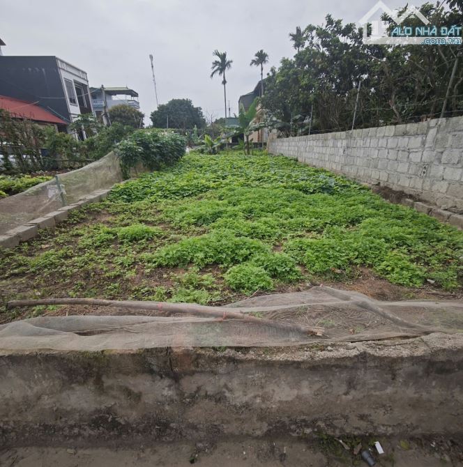 Bán Đất Kỳ Dương – Chương Dương – Thường Tín – 88m², Ô Tô Đỗ Cửa, Giá Chỉ 3x Triệu/m² - 1