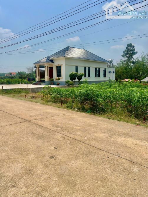 Chính chủ bán đất 600m2 sẵn thổ cư 200m2 ngay khu dân cư đông, Giá 670tr, Có Sổ Hồng Riêng - 1