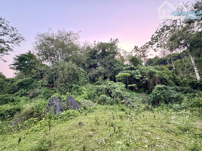 5038m Có 400m Đất Ở, Có Giếng Nước Ngầm, Có Khe Nước Chảy Từ Núi Đá - 1