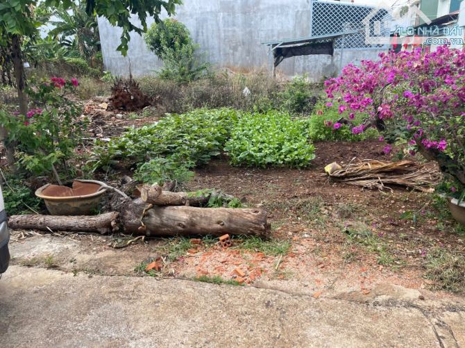 BÁN ĐẤT HẺM 122 MAI HẮC ĐẾ,  PHƯỜNG TÂN THÀNH - 1