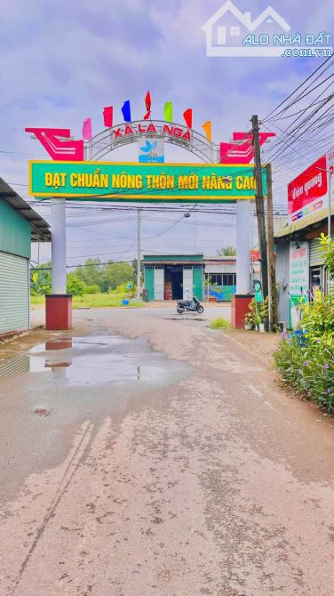BÁN VƯỜN XOÀI NGAY KHU CÔNG NGHIỆP ĐỊNH QUÁN 1000m2(12mx86m) ĐƯỜNG BÊ TÔNG DÂN CƯ 920TRIỆU - 1