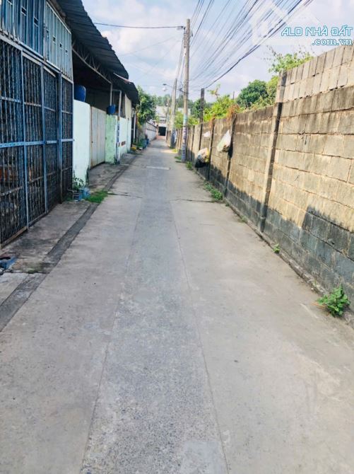Đất rẻ khu cực Chiêu Liêu Tân Đông Hiệp chỉ 3,550 TỶ Ngang 7m 117m2 - 1