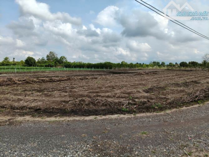 BÁN 1100M2 ĐẤT TẠI XUÂN BẢO, CẨM MỸ ĐÔNG NAI, ĐƯONG THÔNG HAI ĐẦU NHỰA, KHU DÂN CƯ ĐÔNG - 1