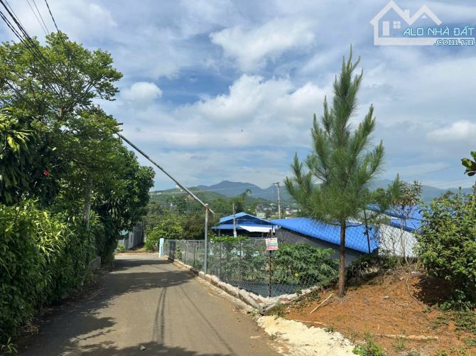 1.3 sào thổ cư toàn bộ Phường 3 Bảo Lộc. - 2