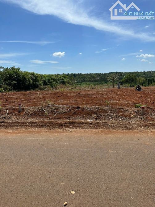 BÁN 169M2 ĐẤT LÂM SAN CẨM MỸ, GIÁ CHỈ 530TR CÓ 100M2 TC - 2