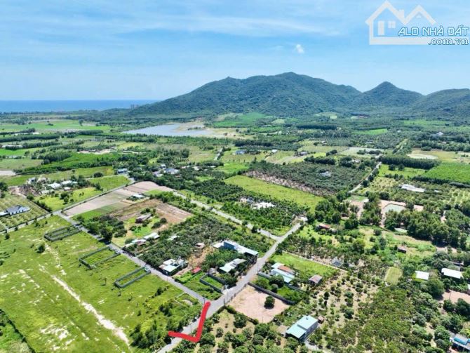 VƯỜN XOÀI THỊ TRẤN PHƯỚC HẢI- GẦN BIỂN PHƯỚC HẢI - LONG ĐẤT - BRVT 🌈DT 10mx50m - 500m2 - - 2