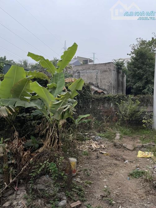 🏡 BÁN ĐẤT ĐẸP THỤY PHƯƠNG – 76M² – MẶT TIỀN 7.68M – GIÁ 6.6 TỶ - 2