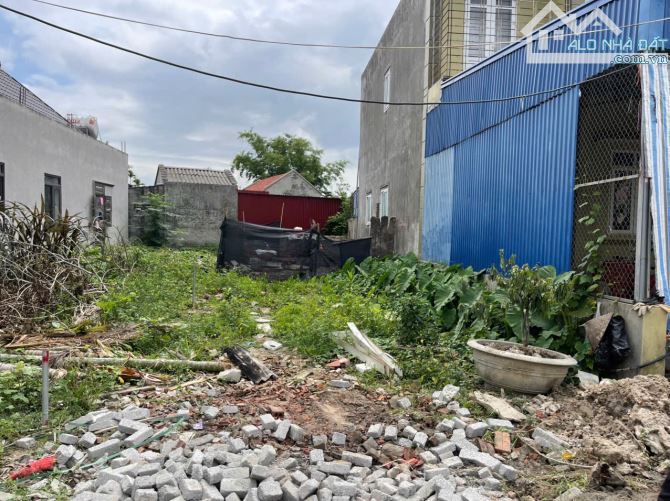 Bán lô đất 101m2 ngang 5m trục thôn Đại Trà Đông Phương Kiến Thụy giá đầu tư - 2