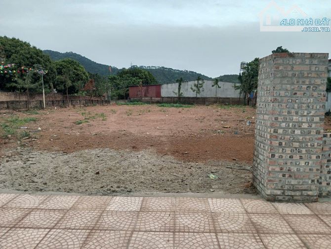 Bán gấp lô đất 1320m² đường 14 - Minh Phú - Sóc Sơn; chỉ 25tr/m², có ra lộc - 2