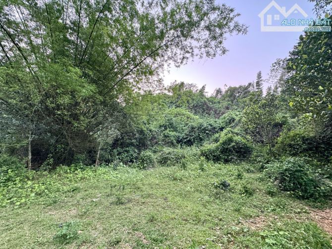 5038m Có 400m Đất Ở, Có Giếng Nước Ngầm, Có Khe Nước Chảy Từ Núi Đá - 2