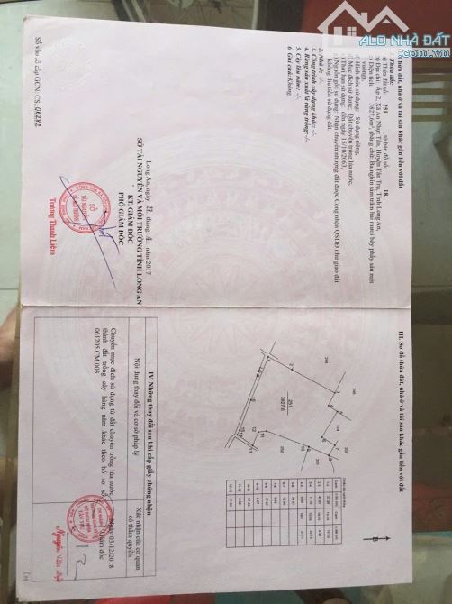 12,522m2 vườn có 1467m2 thổ giá 8,4 tỷ Đường ôtô An Nhựt tân_tân trụ giá ngộp vườn cây trá - 2