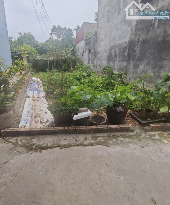 Bán đất Đông Mỹ, Thanh Trì, xe tải vào đất, sát tái định cư 125m2, giá hơn 7 tỷ - 2