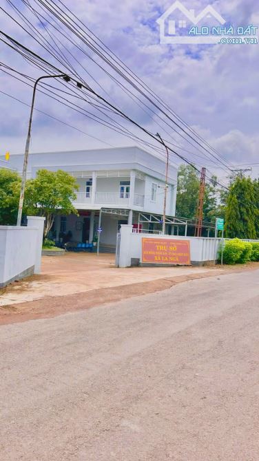 BÁN VƯỜN XOÀI NGAY KHU CÔNG NGHIỆP ĐỊNH QUÁN 1000m2(12mx86m) ĐƯỜNG BÊ TÔNG DÂN CƯ 920TRIỆU - 2