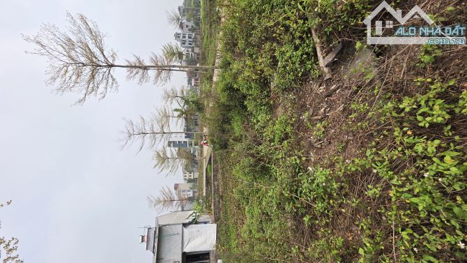 B.Á.N ĐẤT ĐẤU GIÁ CÂY SUNG  ĐAN PHƯỢNG , LÔ GÓC, PHÂN LÔ, Ô TÔ TRÁNH  79M2, 12 TỶ - 2